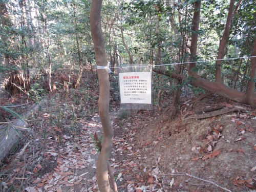 登山道
